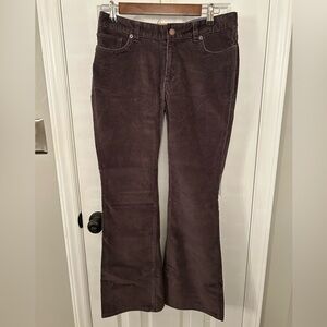 NWT LL Bean Size 8 Petite 8P Dark Gray Perfect Fit Corduroy Bootcut Pants